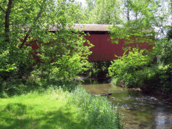 billie creek