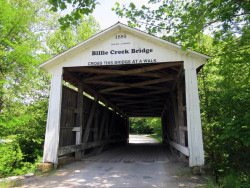 billie creek