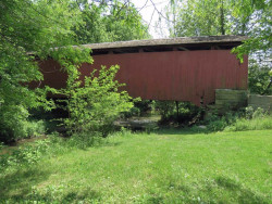 billie creek