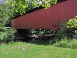 billie creek