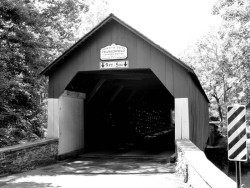 frankenfield