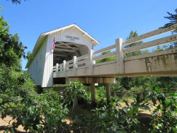 grave creek