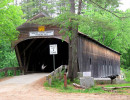 hemlock