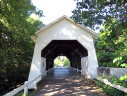 irish bend
