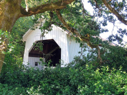 irish bend