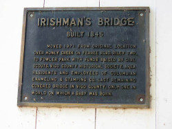 irishman