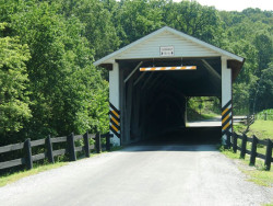 jackson sawmill