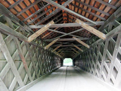 martins mill