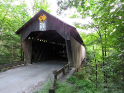 martins mill