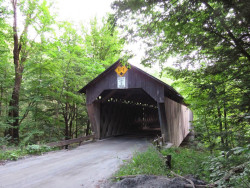 martins mill