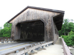 pepperell
