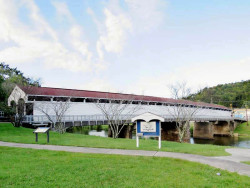 phillipi