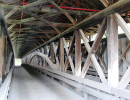 phillipi