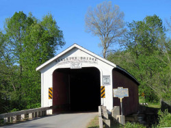 rexleigh