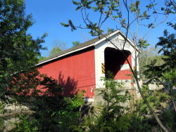 rexleigh