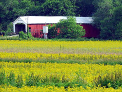 roseville