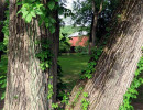 roseville