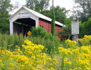 roseville