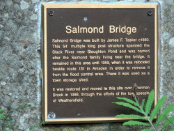 salmond