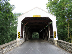 shenks mill