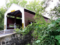 shenks mill