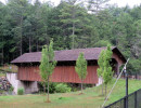 williams